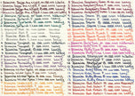 Diamine Inkvent Sheen Ruby Blue Mürekkep 2022