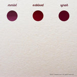 Diamine Dolmakalem Mürekkebi Syrah 80 ml