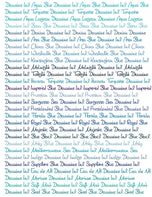 Diamine Dolmakalem Mürekkebi Asa Blue 80 ml