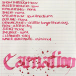 Diamine Flower Carnation Dolmakalem Mürekkebi