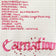 Diamine Flower Carnation Dolmakalem Mürekkebi