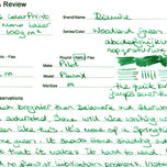 Diamine Dolmakalem Mürekkebi Woodland Green