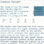 Diamine Dolmakalem Mürekkebi Twilight 80 ml