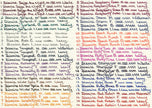 Diamine Inkvent Sheen Ruby Blue Mürekkep 2022