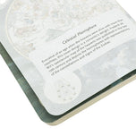 Celestial Planisphere A6 Cahier Defter