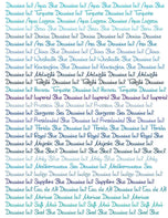 Diamine Dolmakalem Mürekkebi Asa Blue 80 ml
