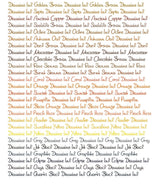 Diamine Dolmakalem Mürekkebi Blaze Orange 80 ml