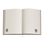 Harry Potter Slytherin Midi Çizgisiz Defter