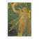 Olive Fairy Defter
