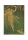 Olive Fairy Midi Çizgili Defter