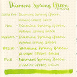 Diamine Dolmakalem Mürekkebi Spring Green 80 ml