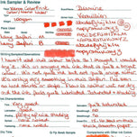 Diamine Dolmakalem Mürekkebi Vermillion