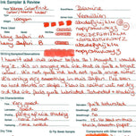 Diamine Dolmakalem Mürekkebi Vermillion 80 ml